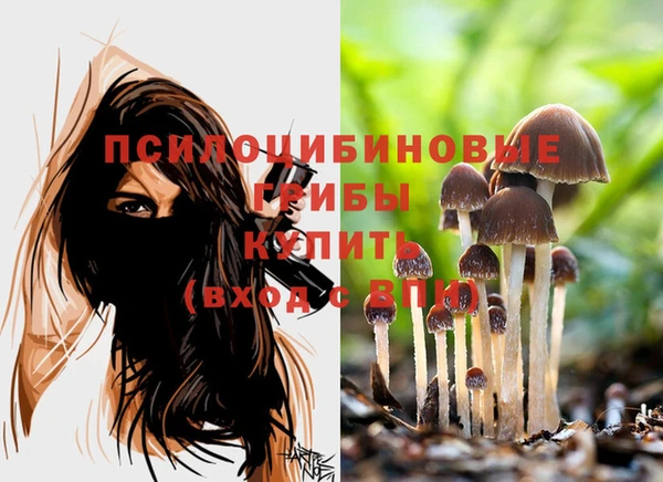 МДПВ Инсар