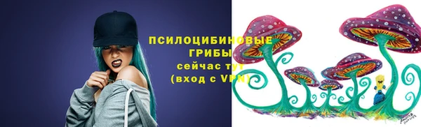 МДПВ Инсар