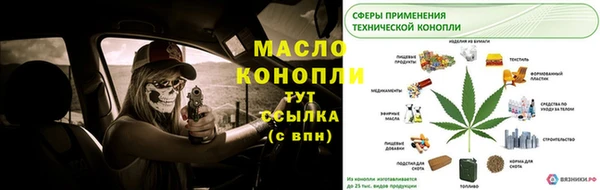 МДПВ Инсар