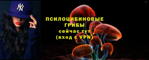 МДПВ Инсар