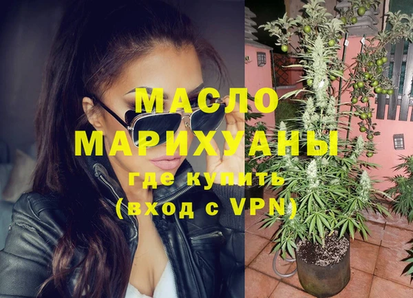 МДПВ Инсар