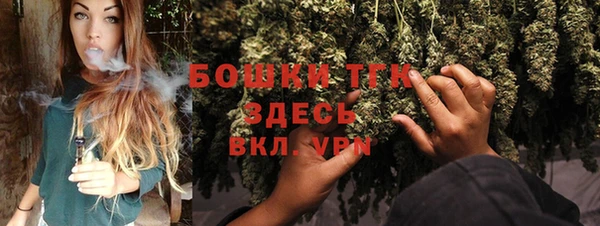 МДПВ Инсар