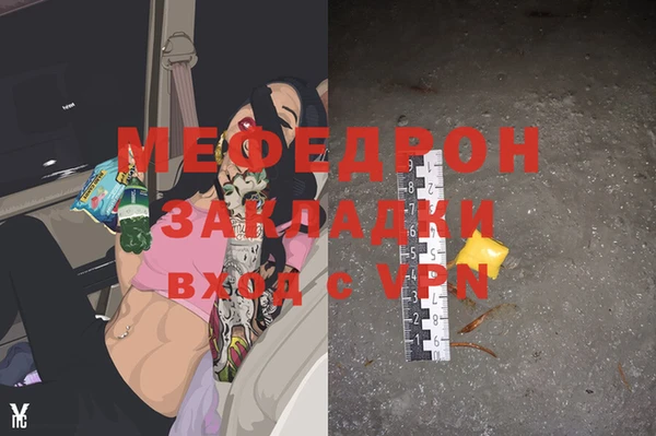 МДПВ Инсар