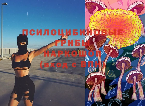 МДПВ Инсар
