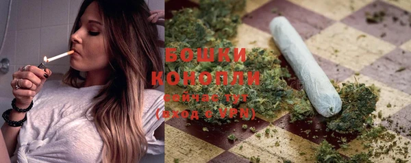 МДПВ Инсар