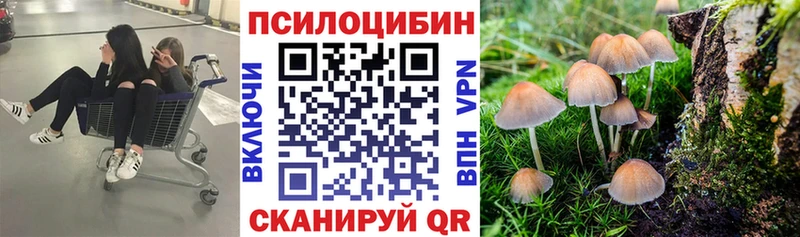 Галлюциногенные грибы мицелий  Купить где  Дно 